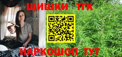 крисы Абакан