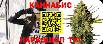 крисы Абакан