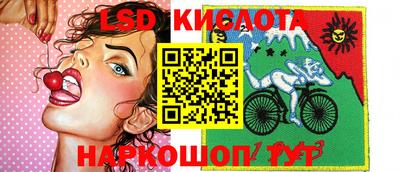 крисы Абакан