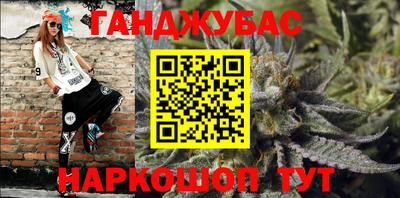 крисы Абакан