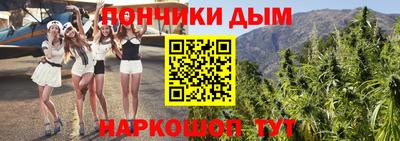 крисы Абакан