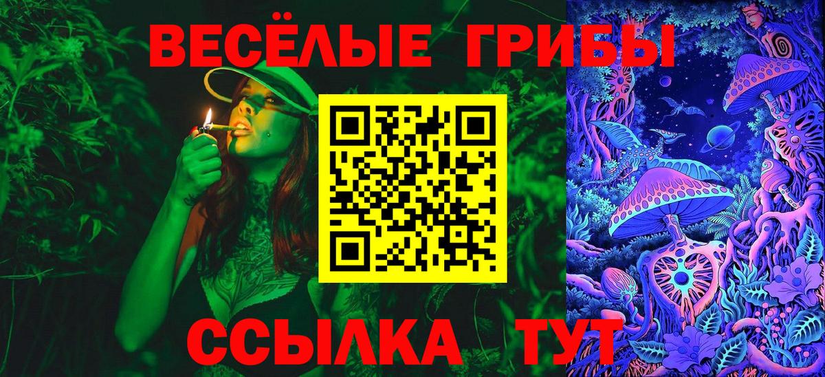 Псилоцибиновые грибы прущие грибы  Псилоцибиновые грибы ЛСД  Вход с VPN  Альметьевск 